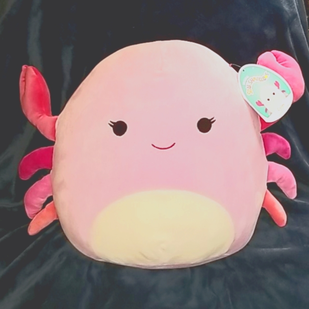 NWT 14" Cailey the Crab Squishmallow